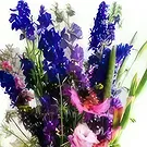 Ouled Maaref flowers  -  Bluebird Flower Bouquet/Arrangement
