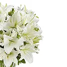 Italy flowers  -  Bunch of flowers to remember the dead Flower Bouquet/Arrangement