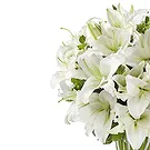 Italy flowers  -  Bunch of flowers to remember the dead Flower Bouquet/Arrangement