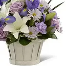 Macuilacatl Chico flowers  -  A Little Prince Flower Bouquet/Arrangement