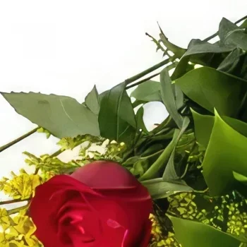 Belém kvety- Červená osamelá ruža Aranžovanie kytice
