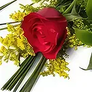 Santa Maria flowers  -  Red Lonely Rose Flower Bouquet/Arrangement
