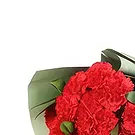 Garhoud flowers  -  Love Carnations Collection Flower Bouquet/Arrangement