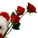Sitrah blommor- 3 rosor & nalle Bukett/blomsterarrangemang
