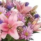 fleuriste fleurs de Ville internet de Dubaï- Belles fleurs Bouquet/Arrangement floral