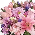 fleuriste fleurs de Ville internet de Dubaï- Belles fleurs Bouquet/Arrangement floral