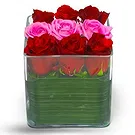 Prokuplje flowers  -  Heartfelt Roses Duo Flower Bouquet/Arrangement