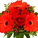 Smederevska Palanka flowers  -  Lovely Reds Flower Bouquet/Arrangement