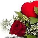 Prokuplje flowers  -  Blushing Beauty Flower Bouquet/Arrangement