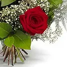 Prokuplje flowers  -  Blushing Beauty Flower Bouquet/Arrangement