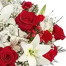 Al-Barsha 1 flowers  -  Loving Memories Flower Bouquet/Arrangement