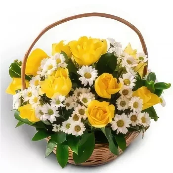 רסיפה פרחים- סל עם ורדים וחינניות צהובים ולבנים זר פרחים/סידור פרחים