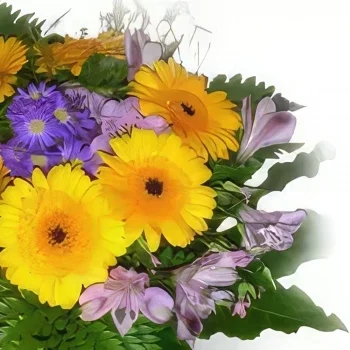 Krakow cvijeća- Svježi buket Cvjetni buket/aranžman