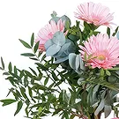 Greece flowers  -  Choco Gerbera Delight Flower Bouquet/Arrangement