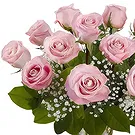 Prokuplje flowers  -  Blush Pinks Flower Bouquet/Arrangement