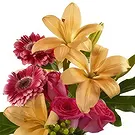 Macuilacatl Chico flowers  -  Mexican dream Flower Bouquet/Arrangement