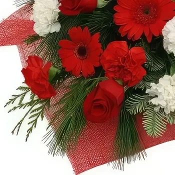 Ибиса цветя- Червена красавица Букет/договореност цвете