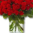 Amsterdam-Zuidoost flowers  -  100 Premium Red Roses - Red Naomi | Grower Flower Bouquet/Arrangement