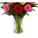 Sitrah blommor- 12 Blanda rosor Bukett/blomsterarrangemang