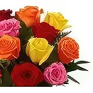 Sitrah blommor- 12 Blanda rosor Bukett/blomsterarrangemang