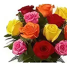 Sitrah blommor- 12 Blanda rosor Bukett/blomsterarrangemang
