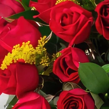 Belém blomster- Kurv med 39 røde roser og 1 ensom rose af en  Blomst buket/Arrangement