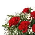 بائع زهور بريست- موسيقى حالمة باقة الزهور