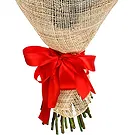 Oman flowers  -  50 Red Roses Bouquet Flower Bouquet/Arrangement