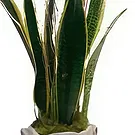 Cala Llonga flowers  -  Sapphire Sky Bouquet Flower Bouquet/Arrangement
