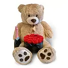 Erdokertes flowers  -  For Love Flower Bouquet/Arrangement