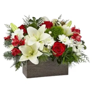 Jordanien Blumen Florist- Wildblumenwunder Blumen Lieferung