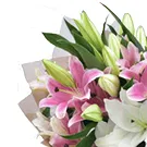 flores de Amã- Bando de Lírios Bouquet/arranjo de flor
