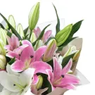 flores de Amã- Bando de Lírios Bouquet/arranjo de flor