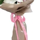 flores de Amã- Bando de Lírios Bouquet/arranjo de flor