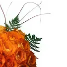 Portugal flowers  -  Amber Delight Flower Bouquet/Arrangement