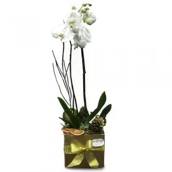 Cascais Blumen Florist- Zartheit und Schönheit Bouquet/Blumenschmuck