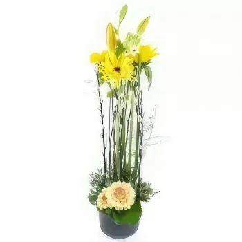 Бордо цветя- Медисън жълта композиция на височина Букет/договореност цвете