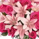 Dubai internet stad bloemen bloemist- Magische kleur Boeket/bloemstuk