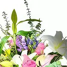 Smederevska Palanka flowers  -  Symbol of Pureness Flower Bouquet/Arrangement