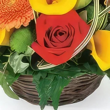 Στρασβούργο λουλούδια- Πολύχρωμη σύνθεση Maïa Μπουκέτο/ρύθμιση λουλουδιών