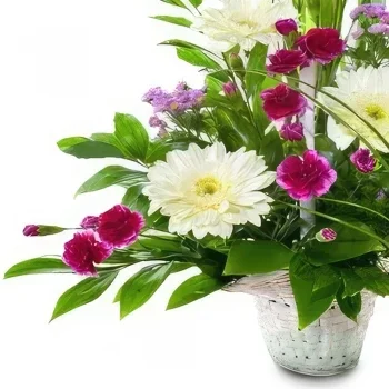 Benalmadena blomster- Medley Wild Collection Blomsterarrangementer bukett