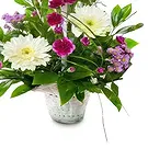 Mijas / Mijas Costa flowers  -   Medley Wild Collection Flower Bouquet/Arrangement
