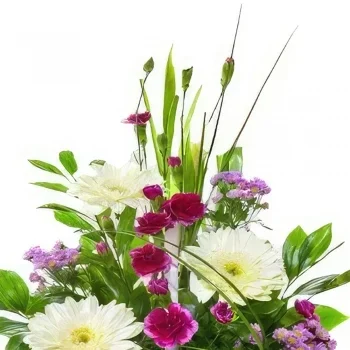 ดอกไม้ บายาโดลิด - เมดเล่ย์ ไวลด์ คอลเลคชั่น ช่อดอกไม้/การจัดวางดอกไม้