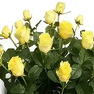 Palia Ampelia flowers  -  Parental Love Flower Bouquet/Arrangement