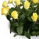 Palia Ampelia flowers  -  Parental Love Flower Bouquet/Arrangement