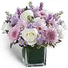 Dubai flowers  -  Memorable Flowers Flower Bouquet/Arrangement