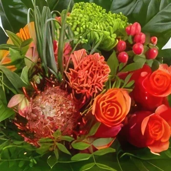flores de Dusseldorf- Sonho da meia-noite Bouquet/arranjo de flor