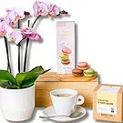 Italy flowers  -  Tea Orchid Flower Bouquet/Arrangement