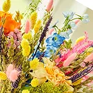 בירבאום אם קלייבוהל פרחים- XL Joyful זר זר פרחים/סידור פרחים