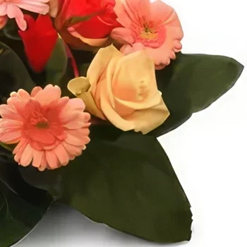 グダンスク 花- チューリップアレンジメント 花束/フラワーアレンジメント